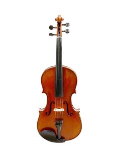 VIOLA VERONA I